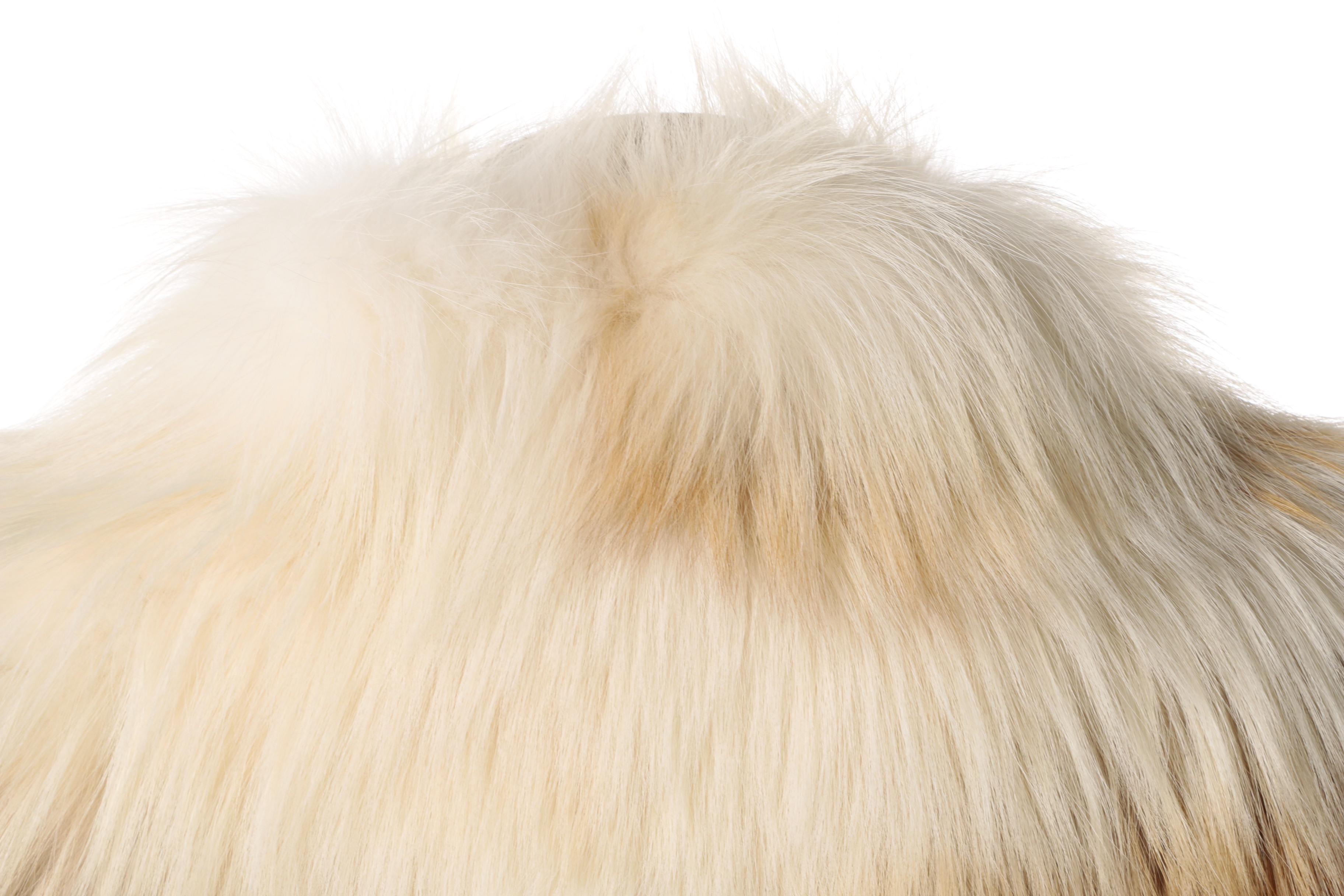 Women's Affinity White Leather and Fox Fur Coat