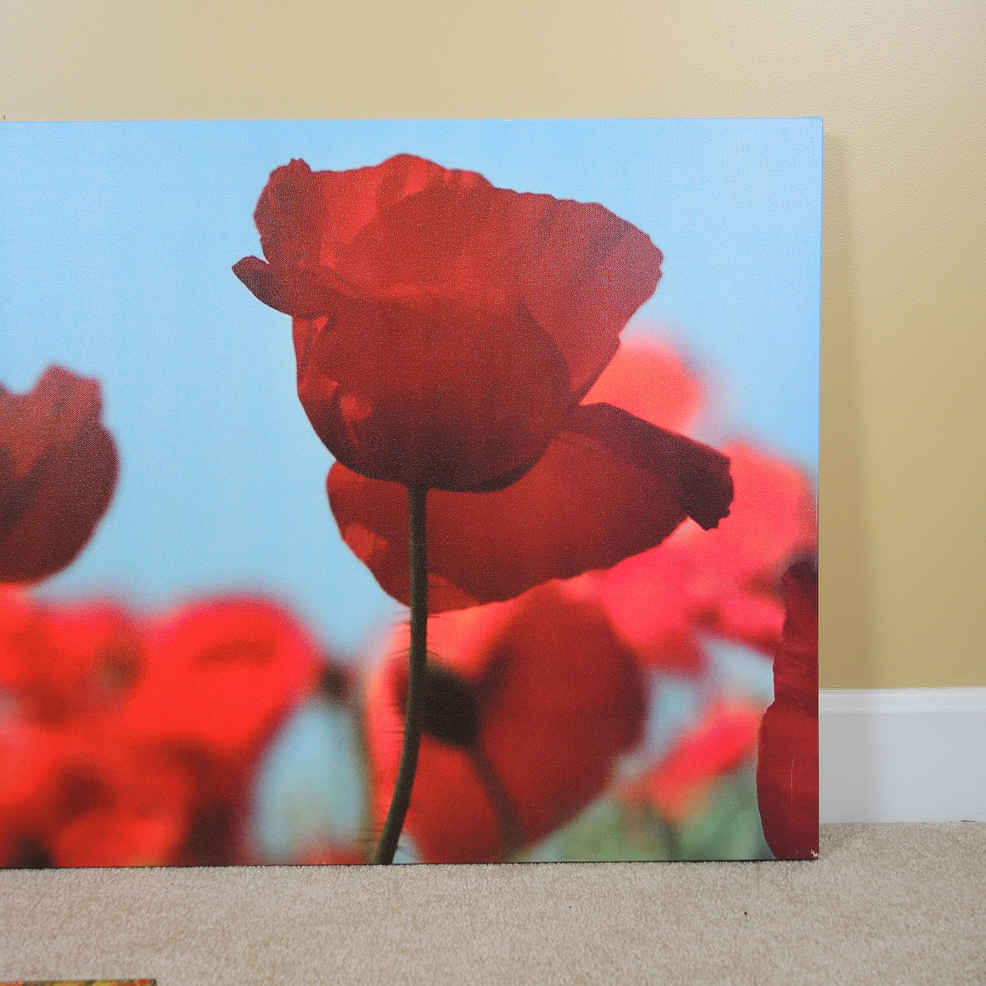 Bjorn Wennerwald IKEA PJÄTTERYD Picture and Floral Prints