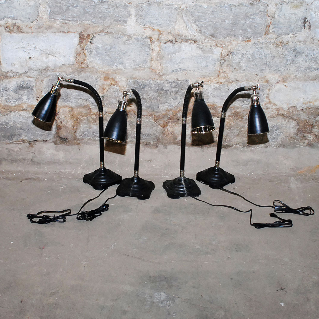 Contemporary Gooseneck Desk Lamps