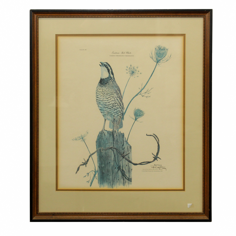 Signed Offset Lithograph After Ray Harm "Eastern Bob-White"