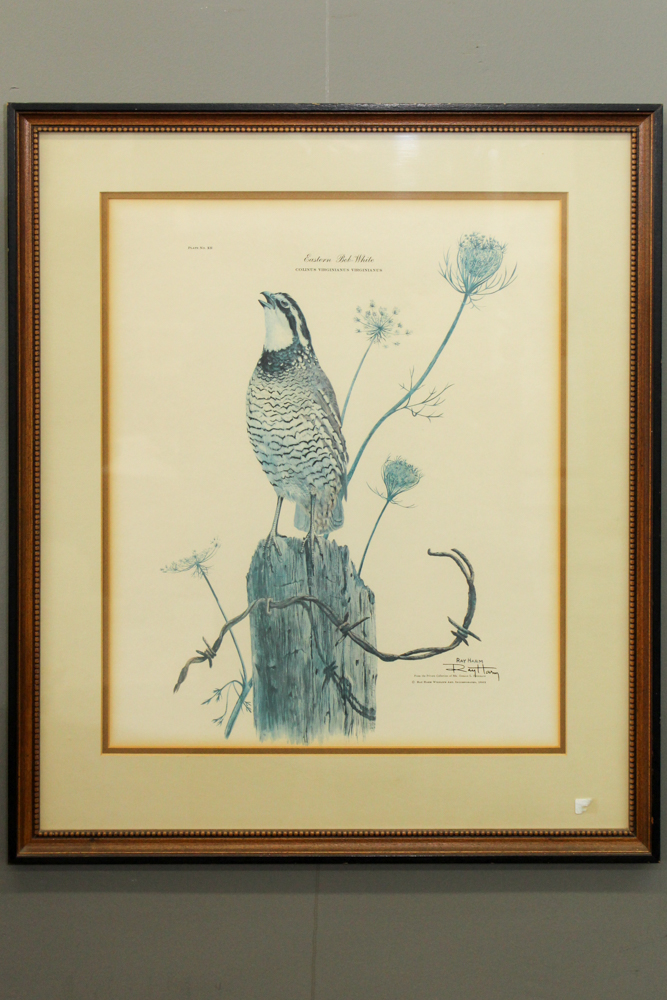 Signed Offset Lithograph After Ray Harm "Eastern Bob-White"
