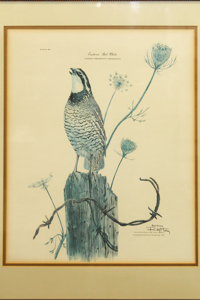 Signed Offset Lithograph After Ray Harm "Eastern Bob-White"