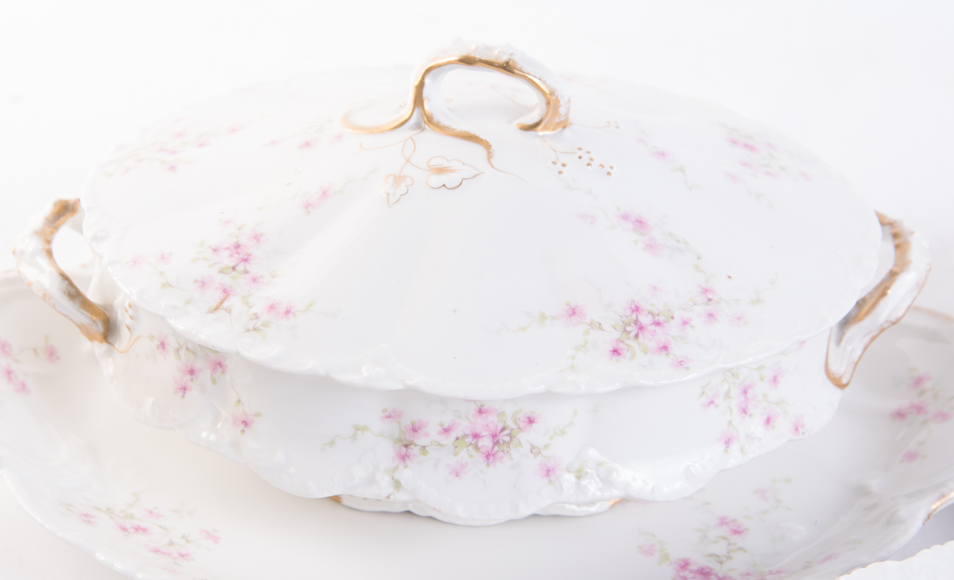 Theodore Haviland "Lucille" Porcelain Dinnerware