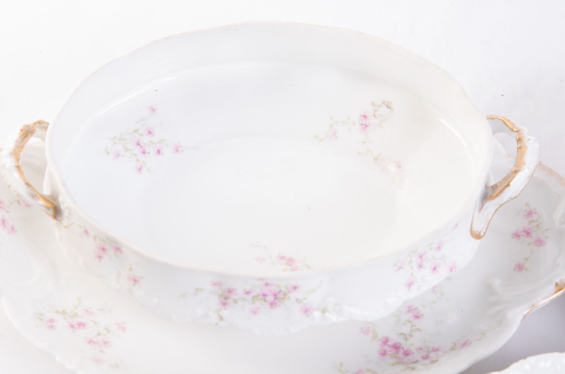 Theodore Haviland "Lucille" Porcelain Dinnerware