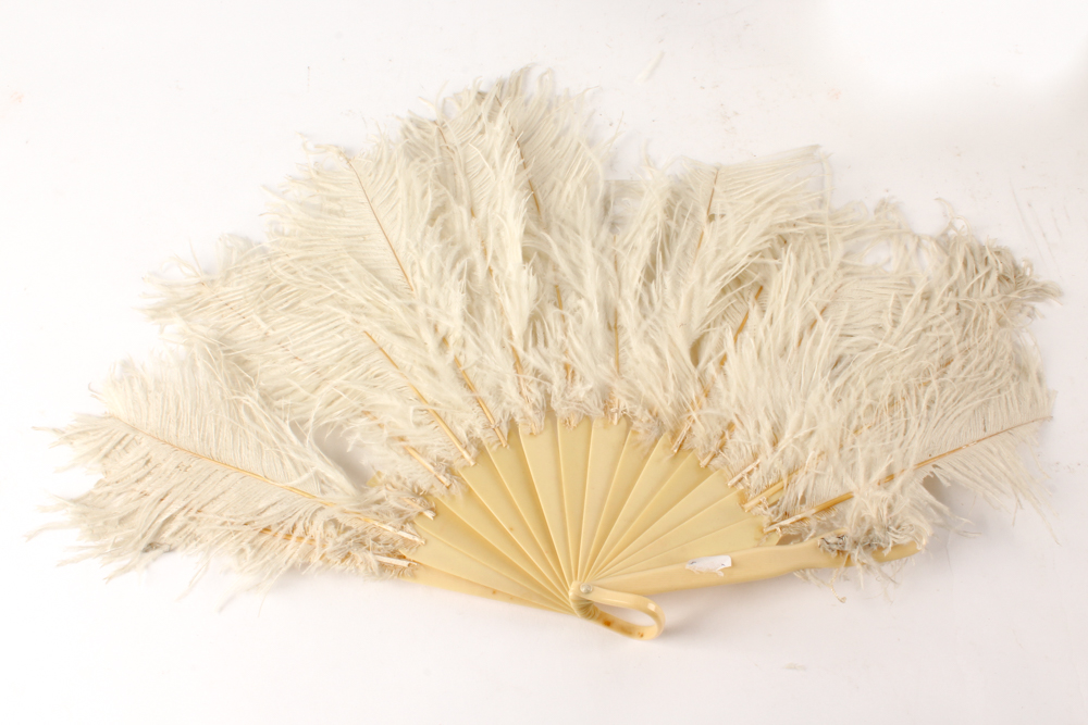 Vintage Porcelain Dresser Decor with Ostrich Feather Fan and Framed Photograph