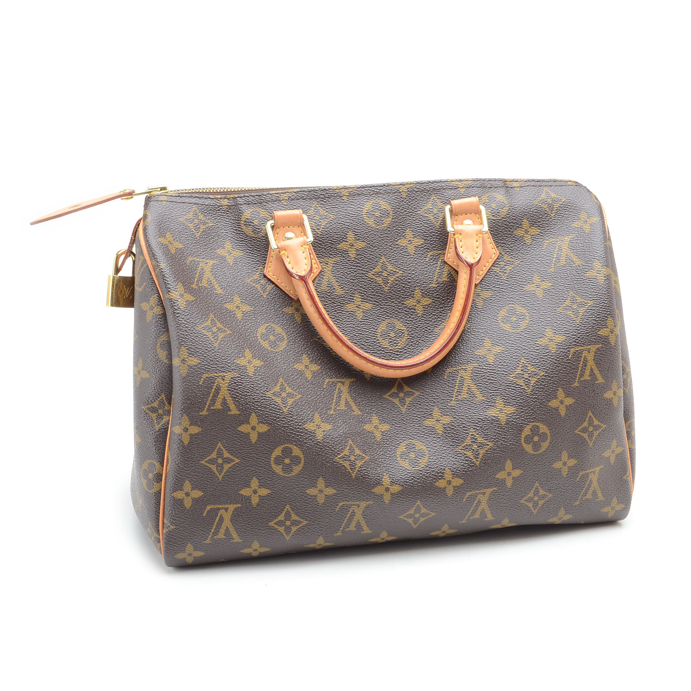 Louis Vuitton Speedy Handbag