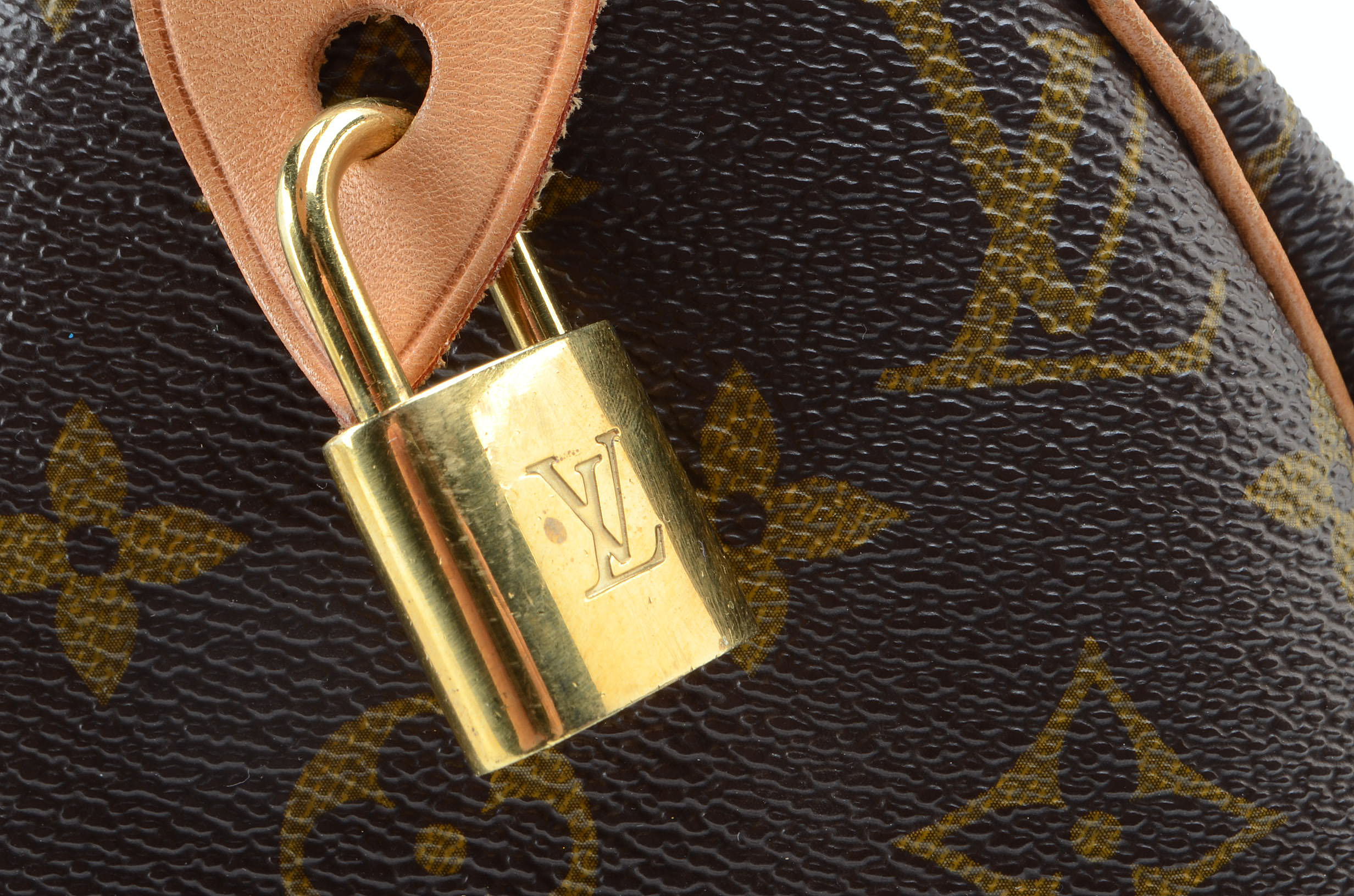 Louis Vuitton Speedy Handbag