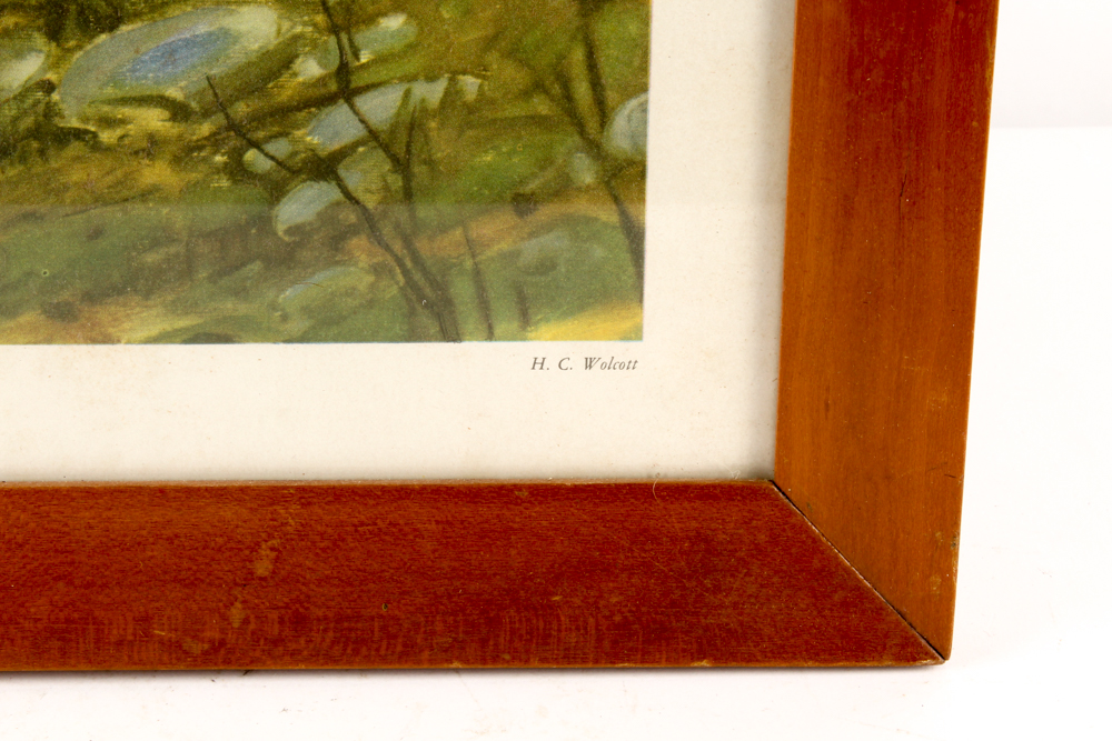 Deborah Bundy Watercolor on Paper with Offset Lithographs