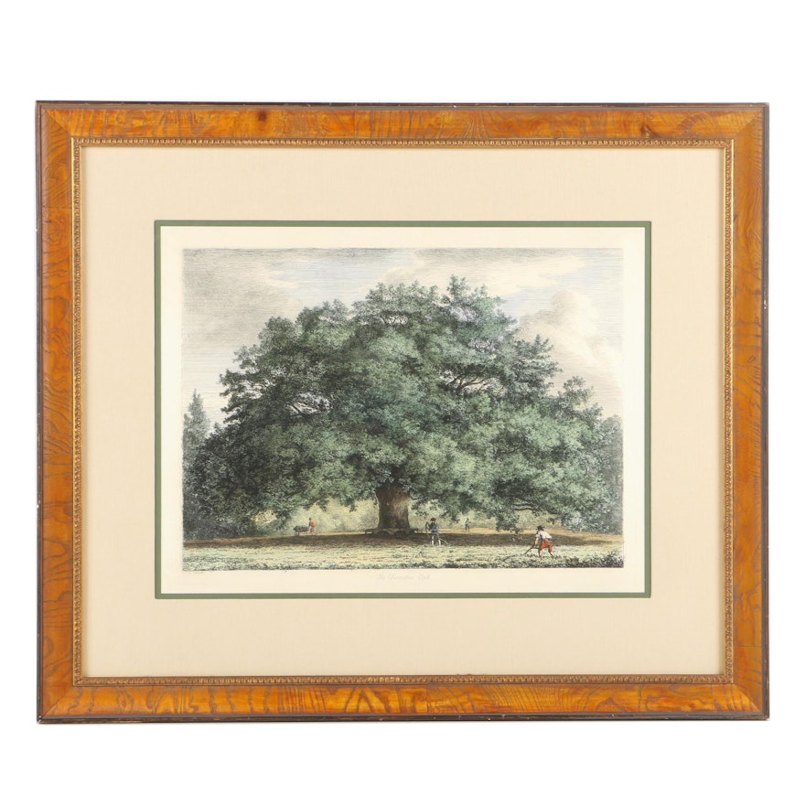 Giclee Print on Paper After Jacob George Strutt "The Chandos Oak"
