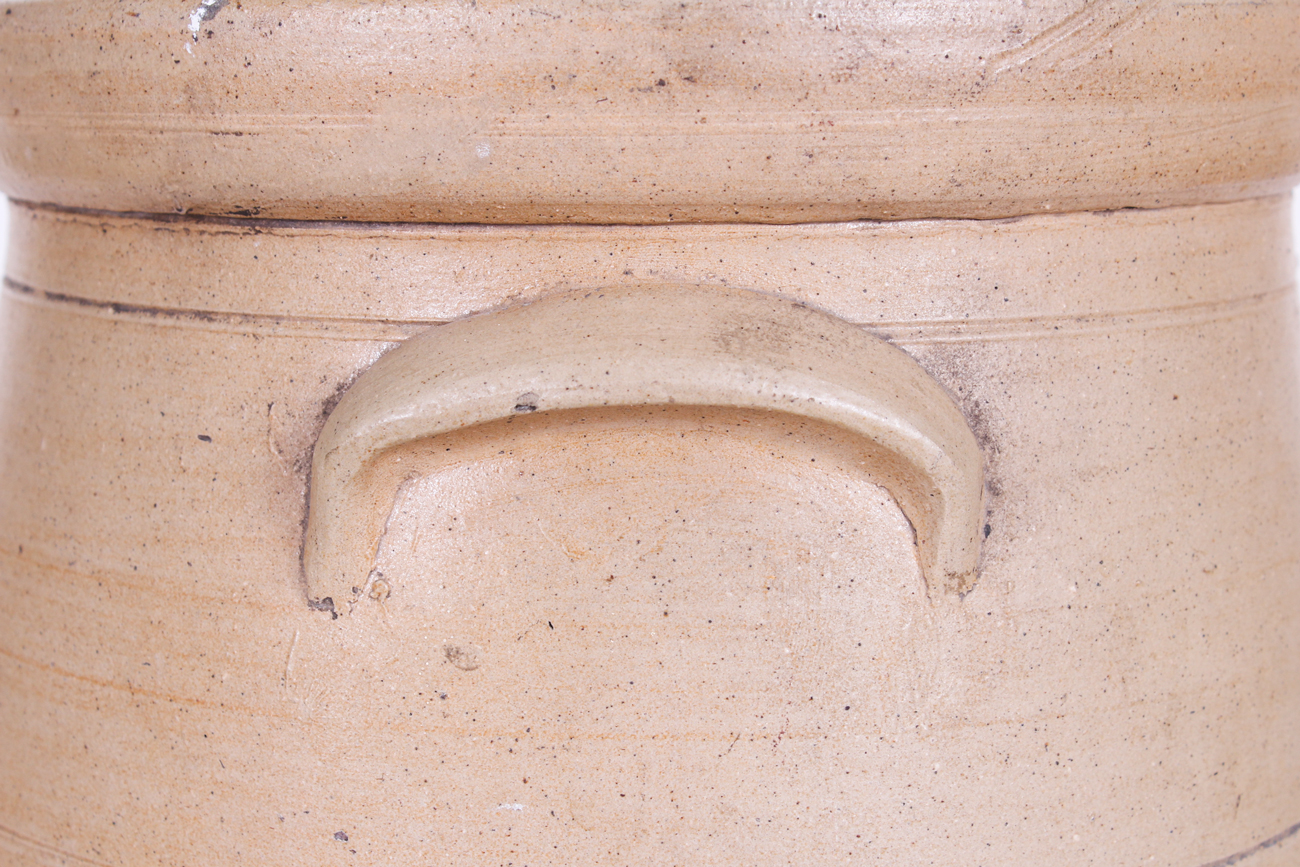 Pair of Antique Red Wing "Bee Sting" Crocks