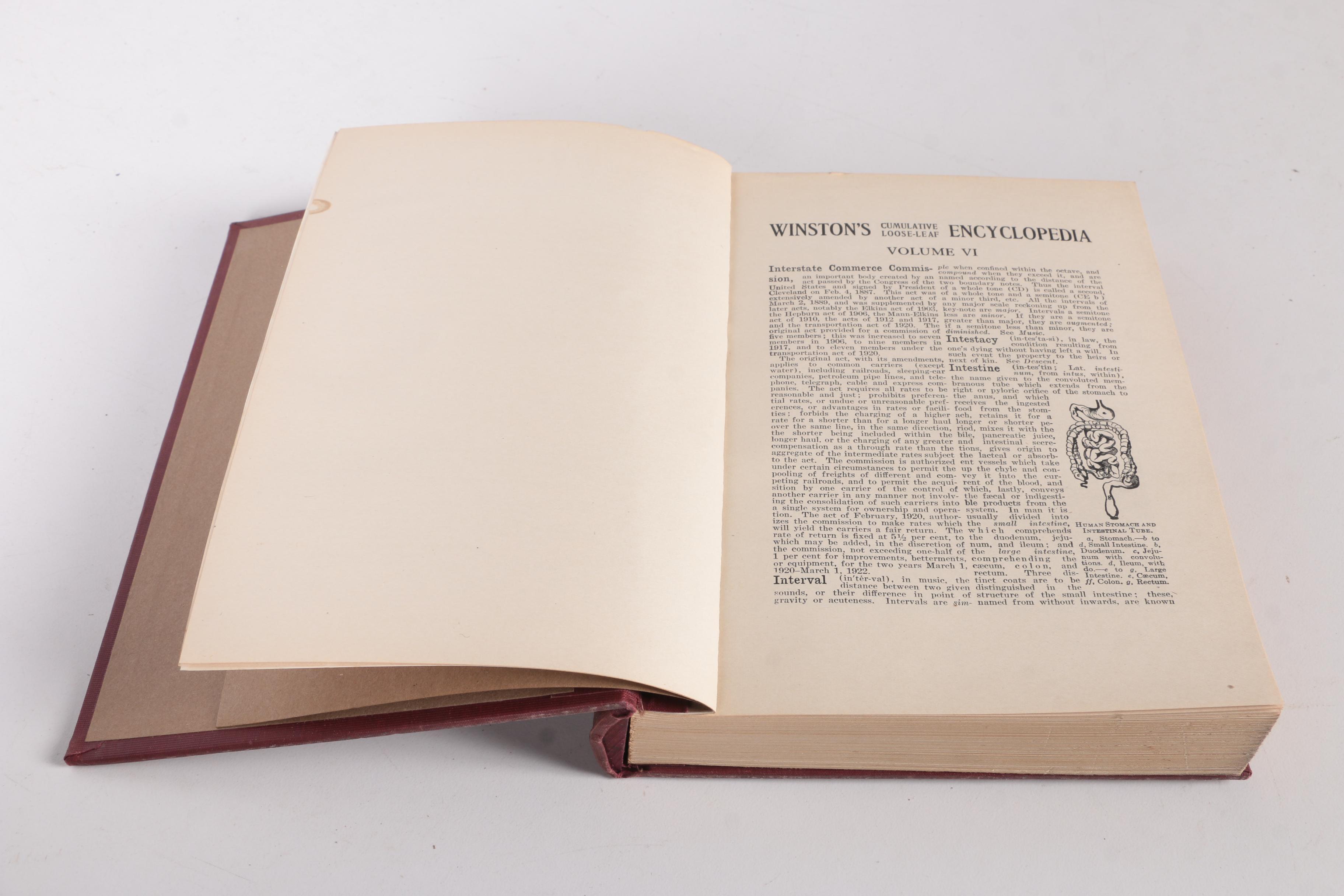 1921 "Winston's Cumulative Loose-Leaf Encyclopedia" in Ten Volumes
