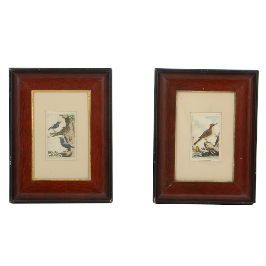 Pair of Vintage Hand Colored Bird Bookplates, Framed