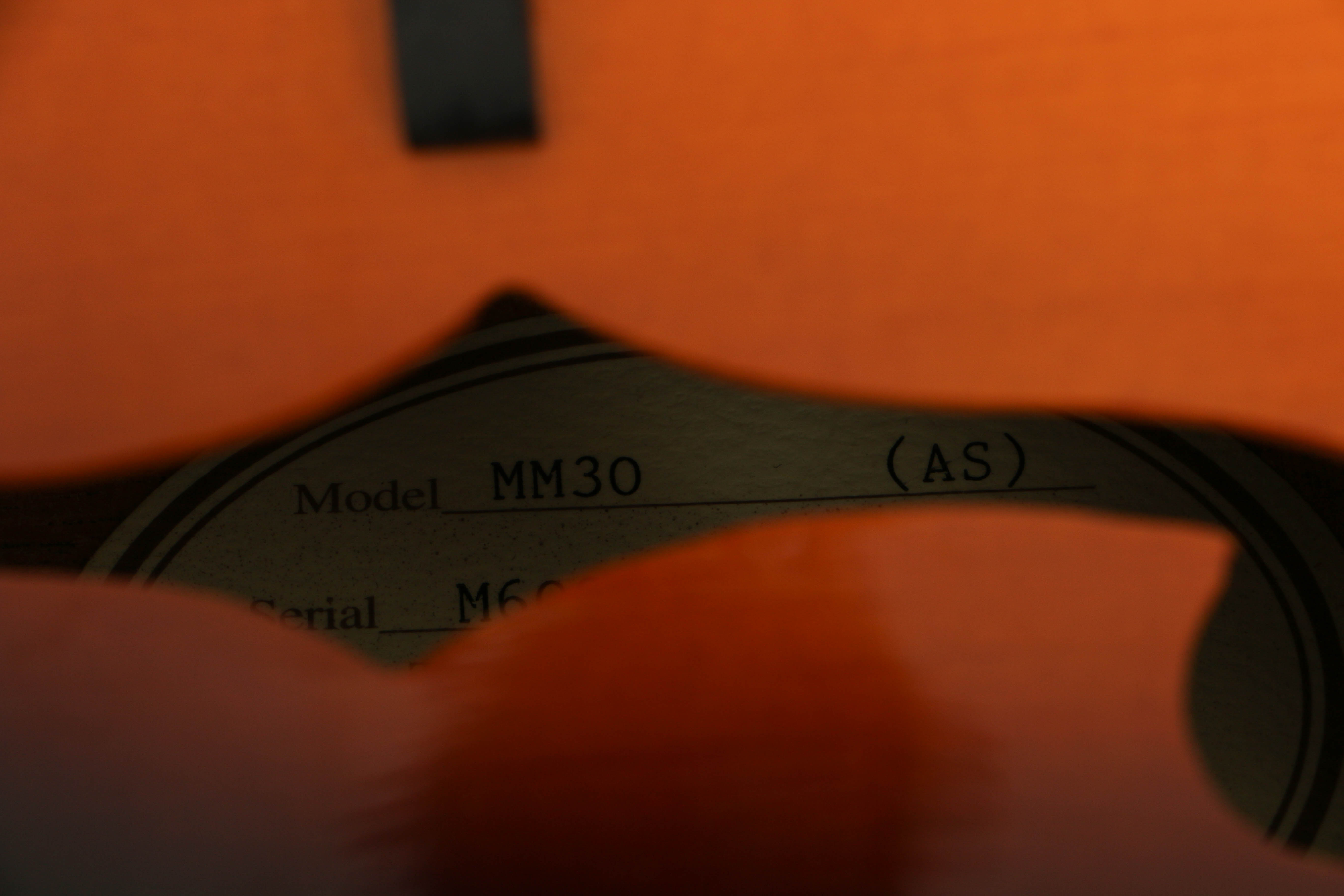 Gibson Epiphone Mandolin