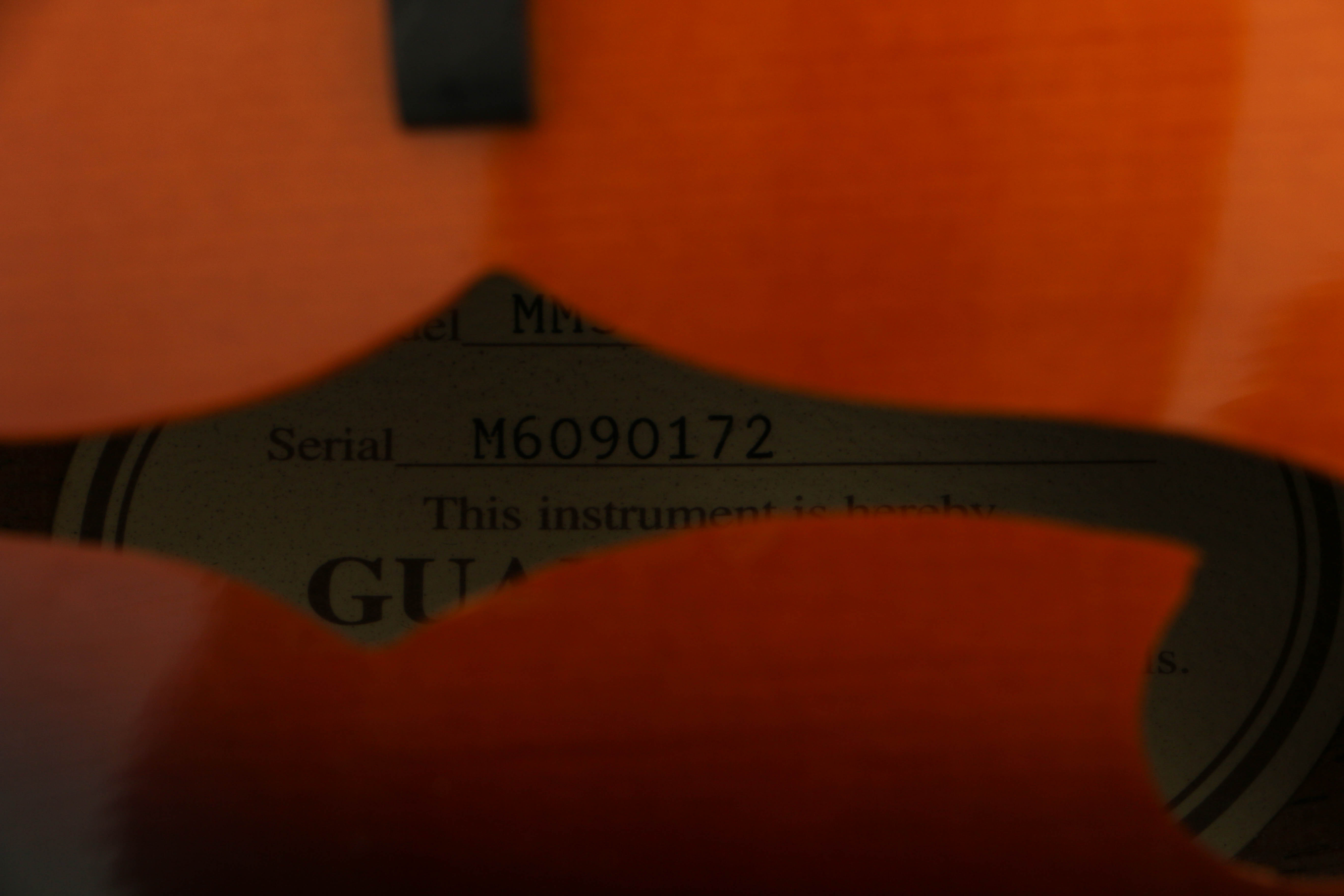 Gibson Epiphone Mandolin