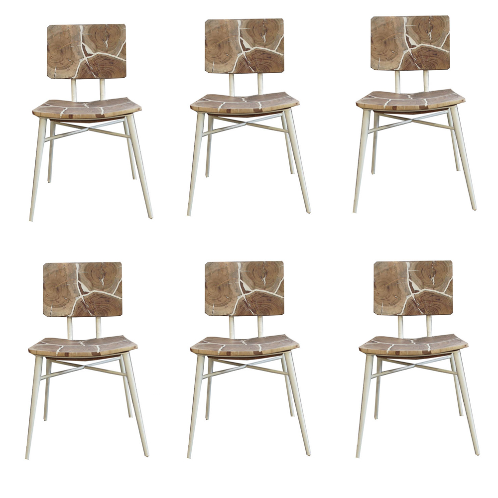 Six Tree Sectioned Dining Chairs