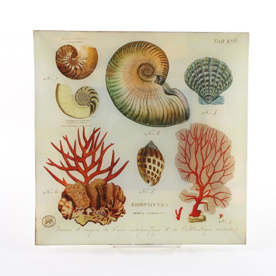 "Michel Design Works" Sea Life Decoupage Glass Tray