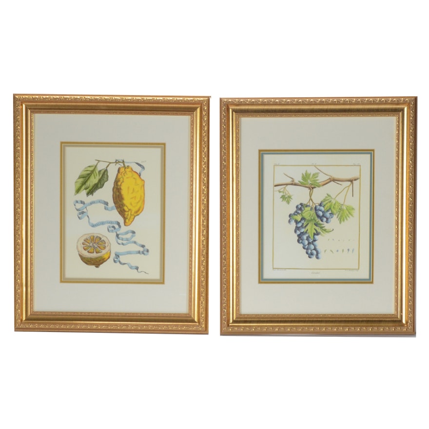 Two Hand-colored Lithographs after Madeleine Basseporte "Cioutat"
