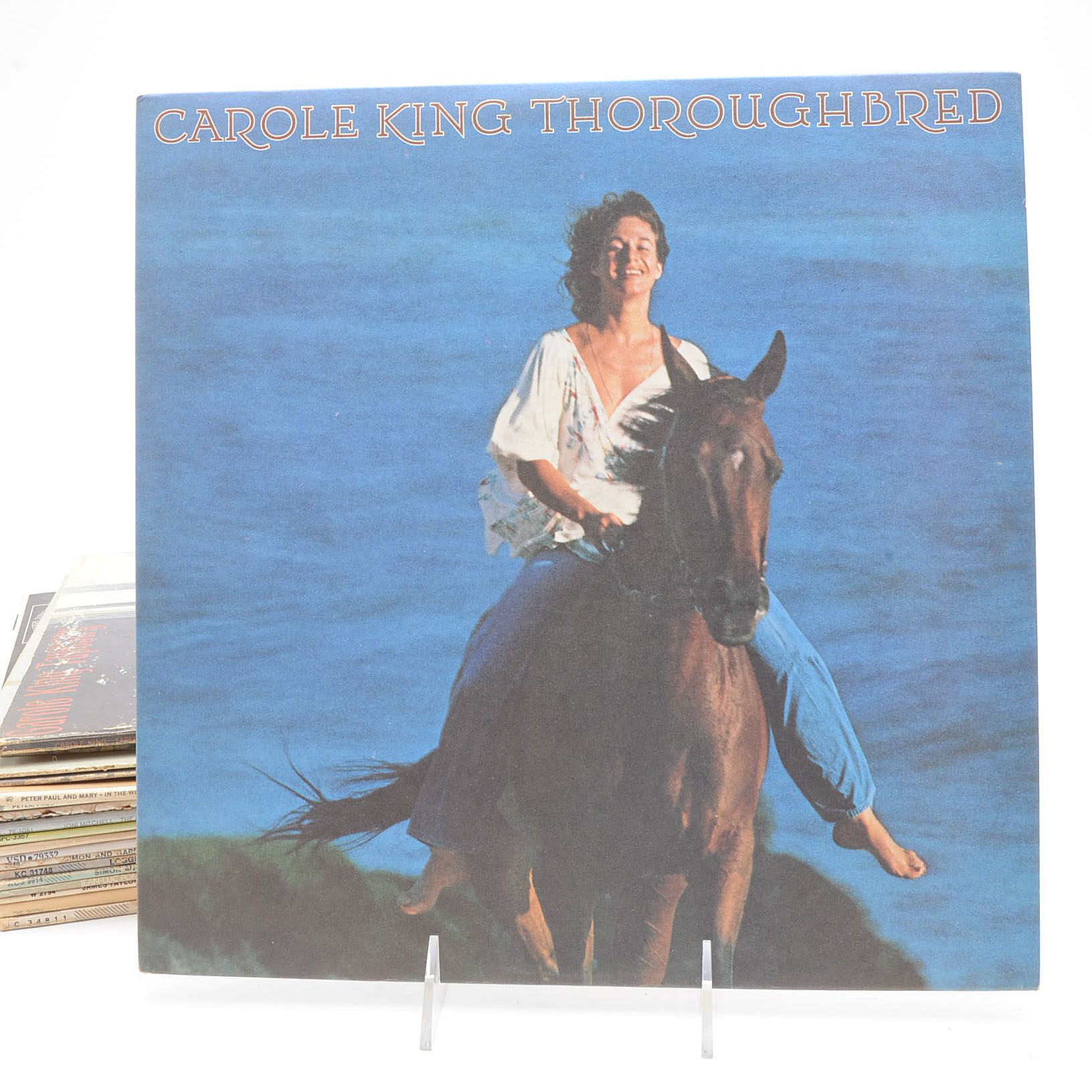 Collection of Vintage Folk LPs including Joan Baez and Cat Stevens