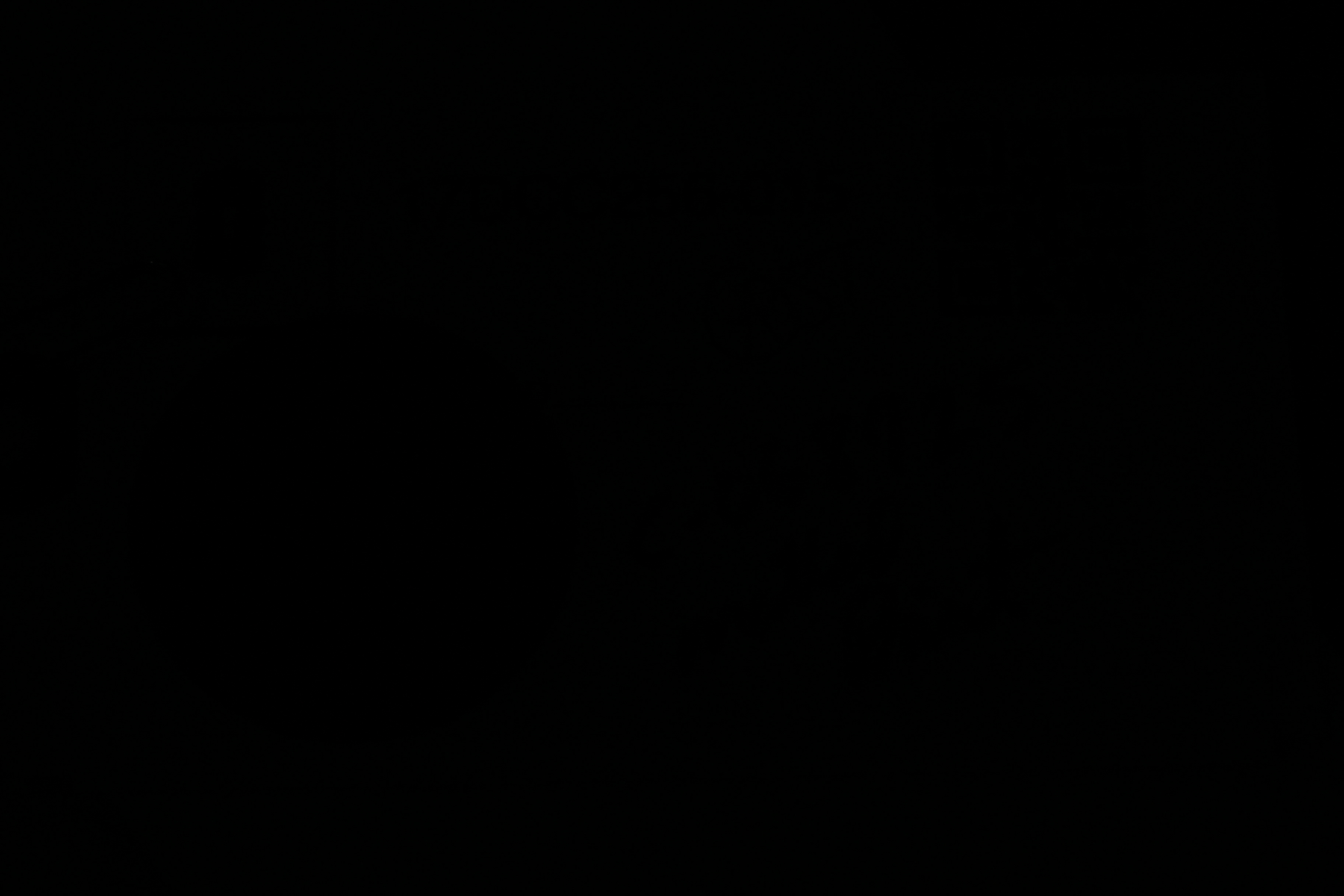 James Houston Black and White Photograph of Nude Figure