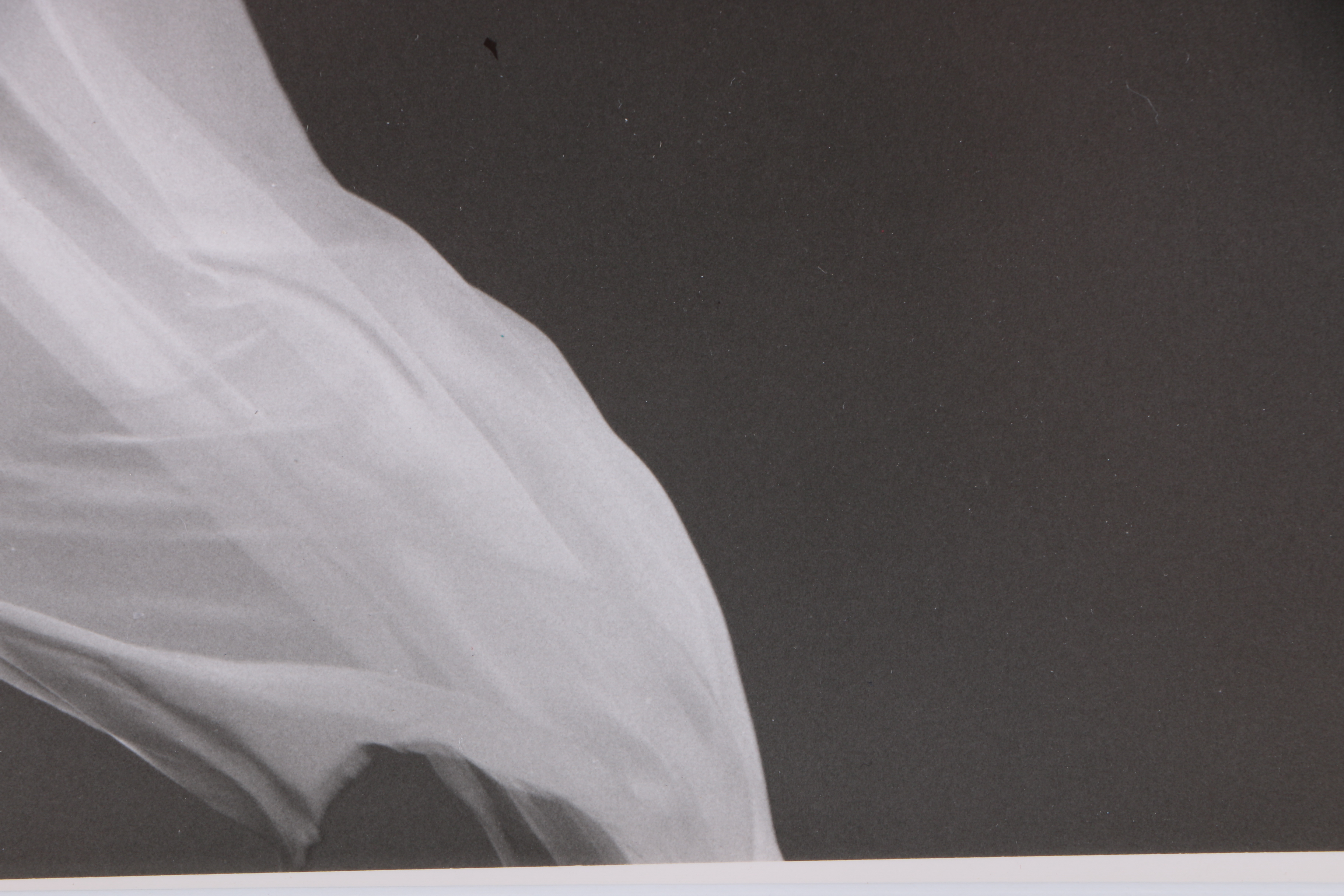 James Houston Black and White Photograph of Nude Figure