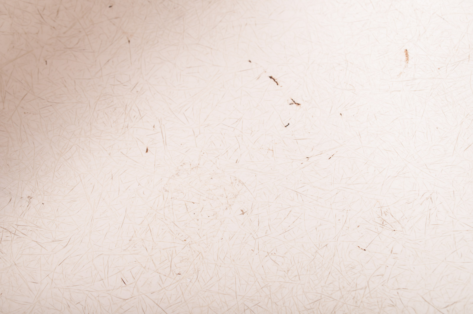 Vintage Mid Century Modern Eames Style Fiberglass Shell Side Chairs