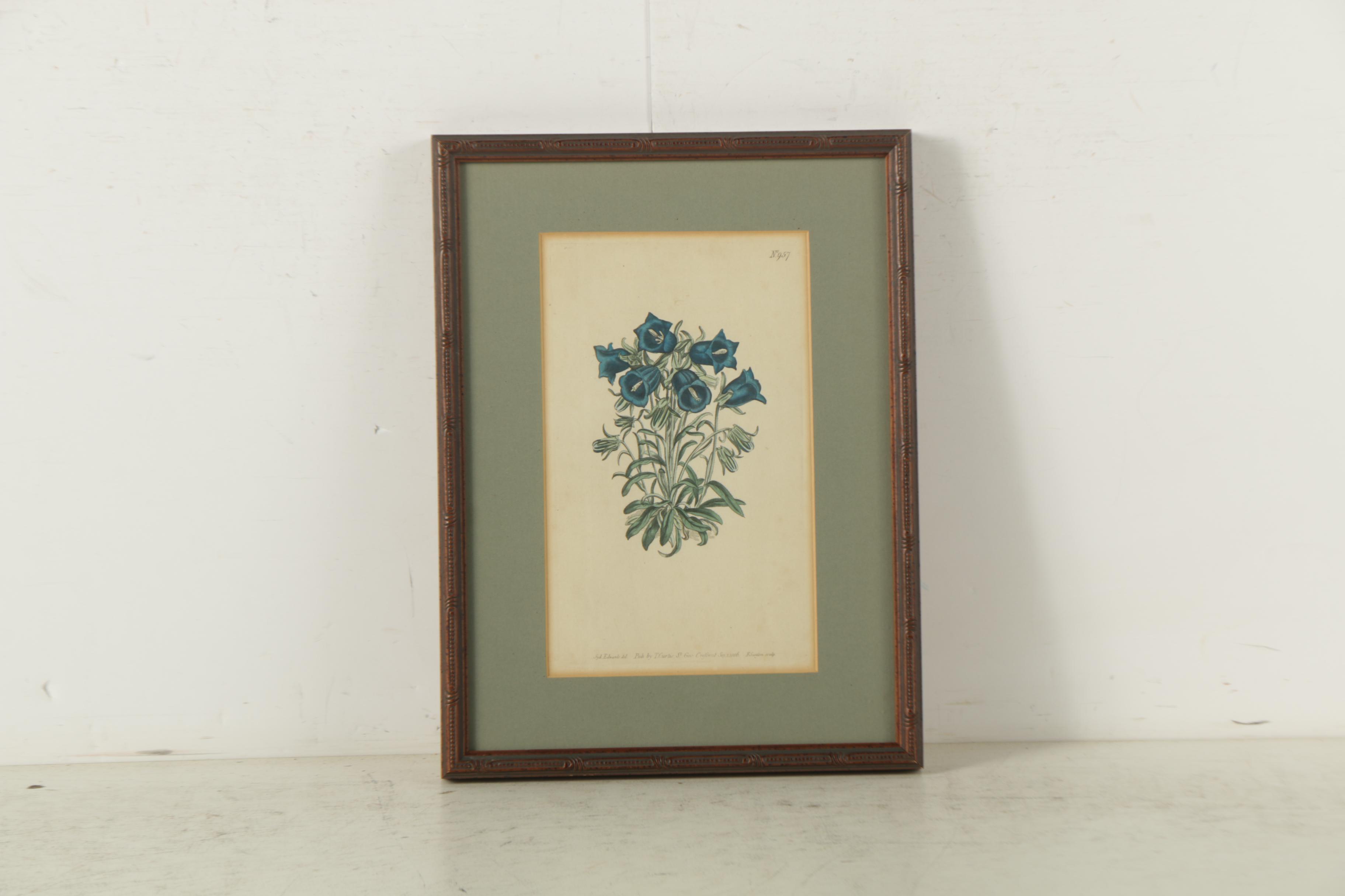 Hand Colored Botanical Engravings
