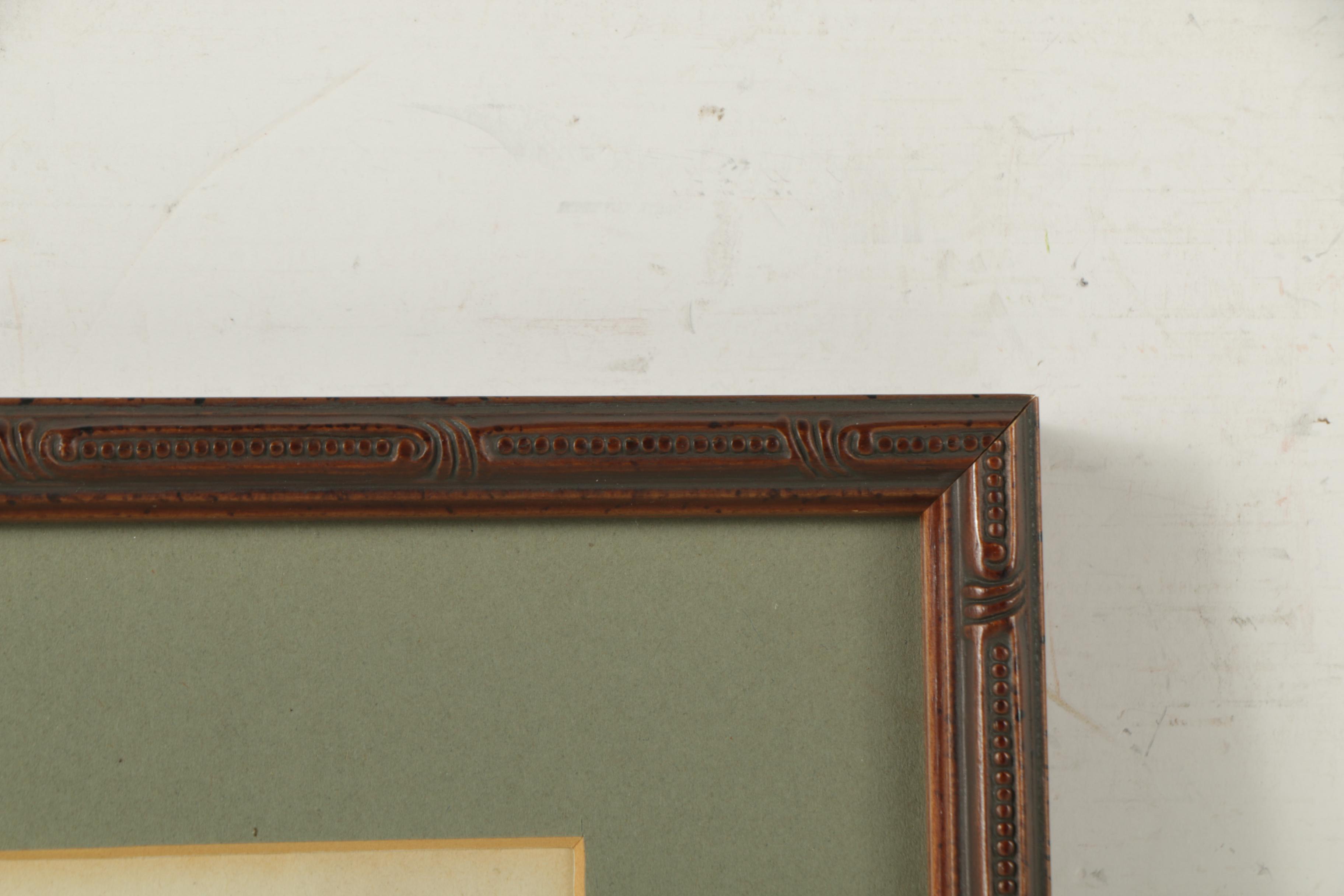 Hand Colored Botanical Engravings