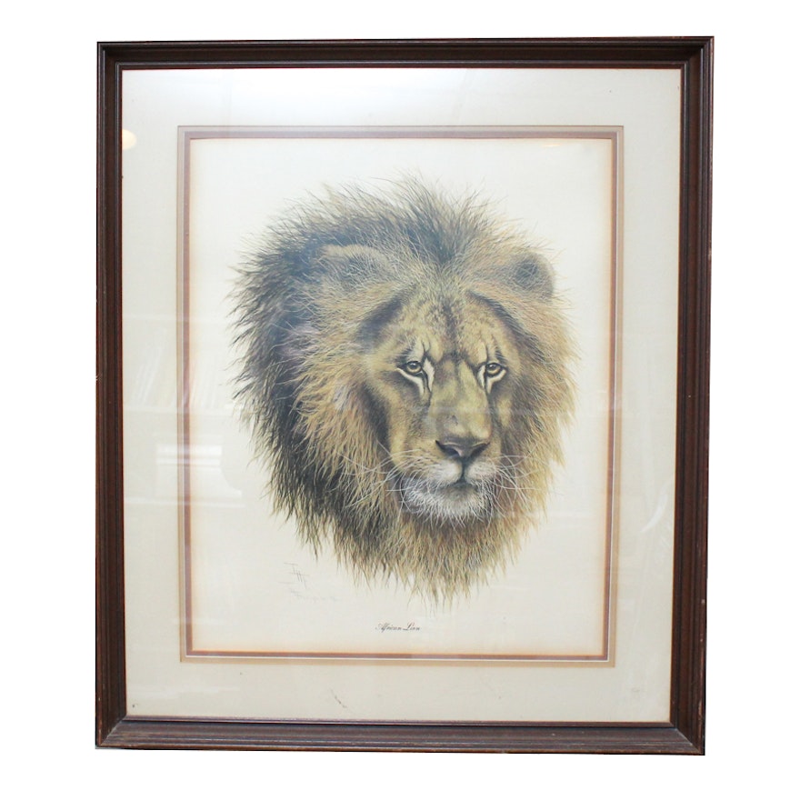 Imogene Farnsworth Print "African Lion"