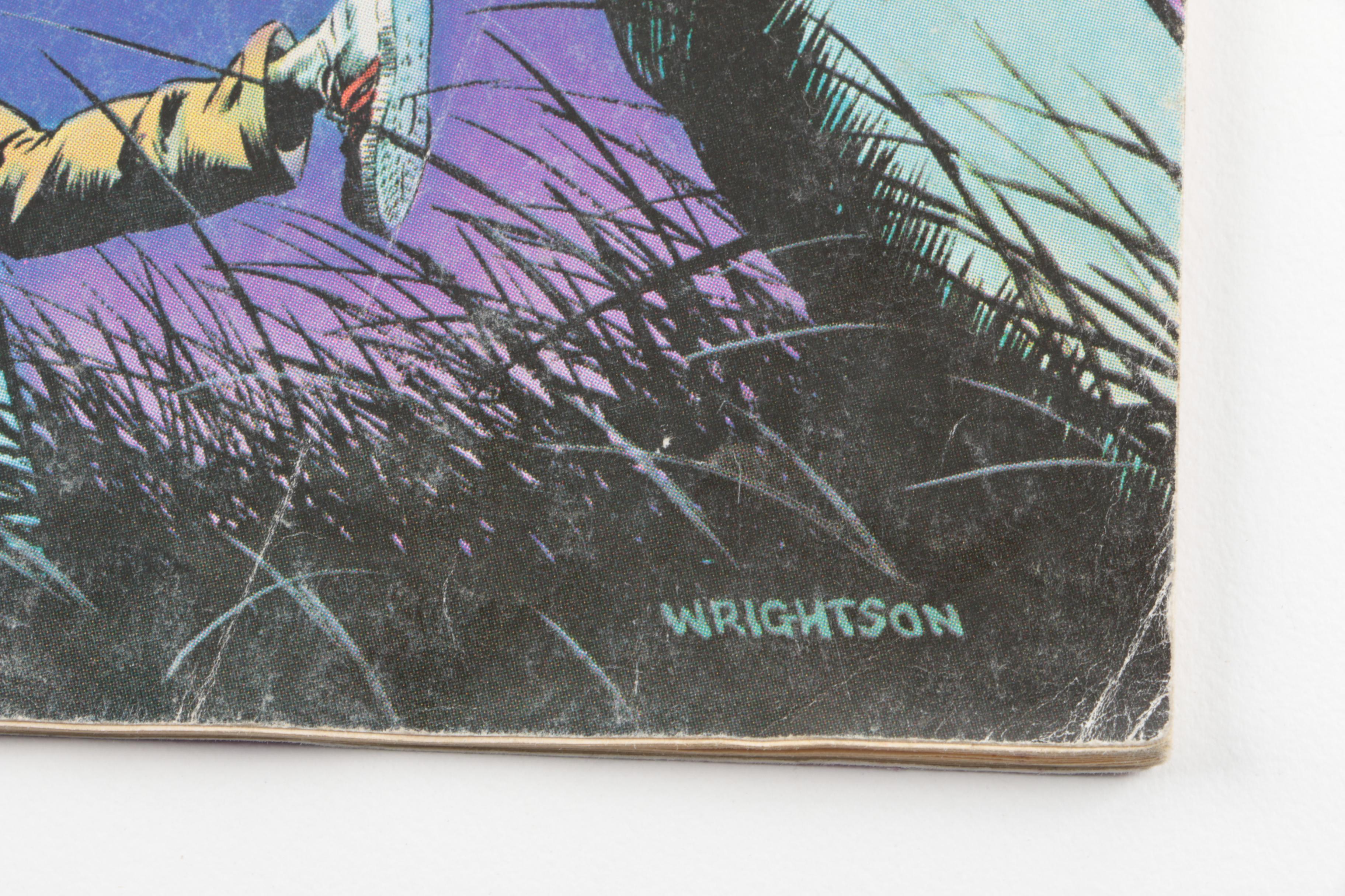 Assorted Modern Age Comic Books featuring "The Mercenary Sea"