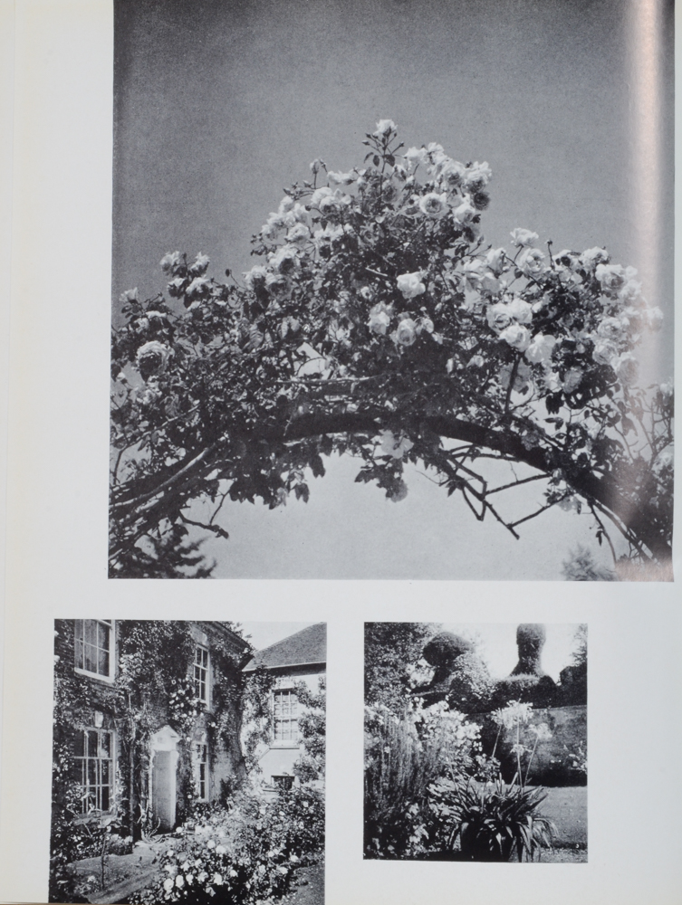 "The Face of the World" by Cecil Beaton signed by Tennessee Williams