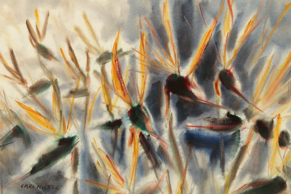 Carl Nickel Watercolor on Paper of Bird of Paradise Flowers