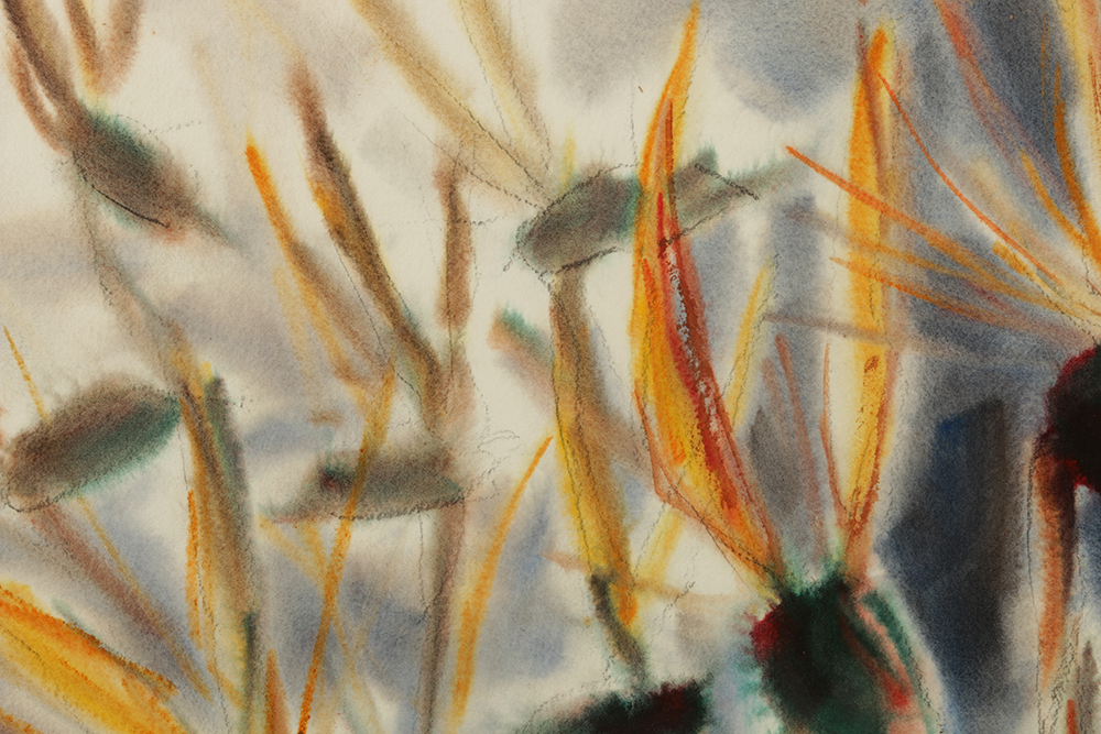 Carl Nickel Watercolor on Paper of Bird of Paradise Flowers