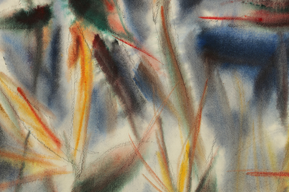 Carl Nickel Watercolor on Paper of Bird of Paradise Flowers