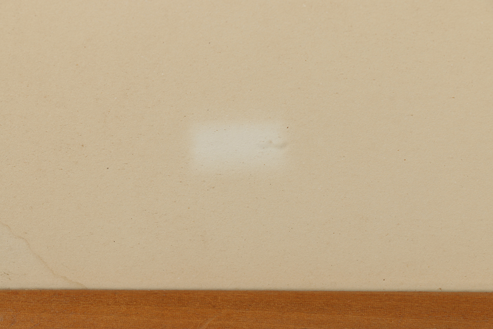 Carl Nickel Watercolor on Paper of Bird of Paradise Flowers