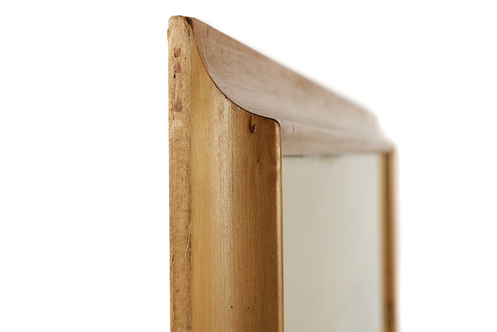 Carl Nickel Watercolor on Paper of Bird of Paradise Flowers