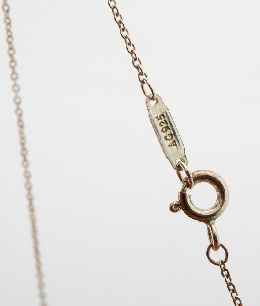 Tiffany & Co. Sterling Silver Enchant Collection Pendant Necklace