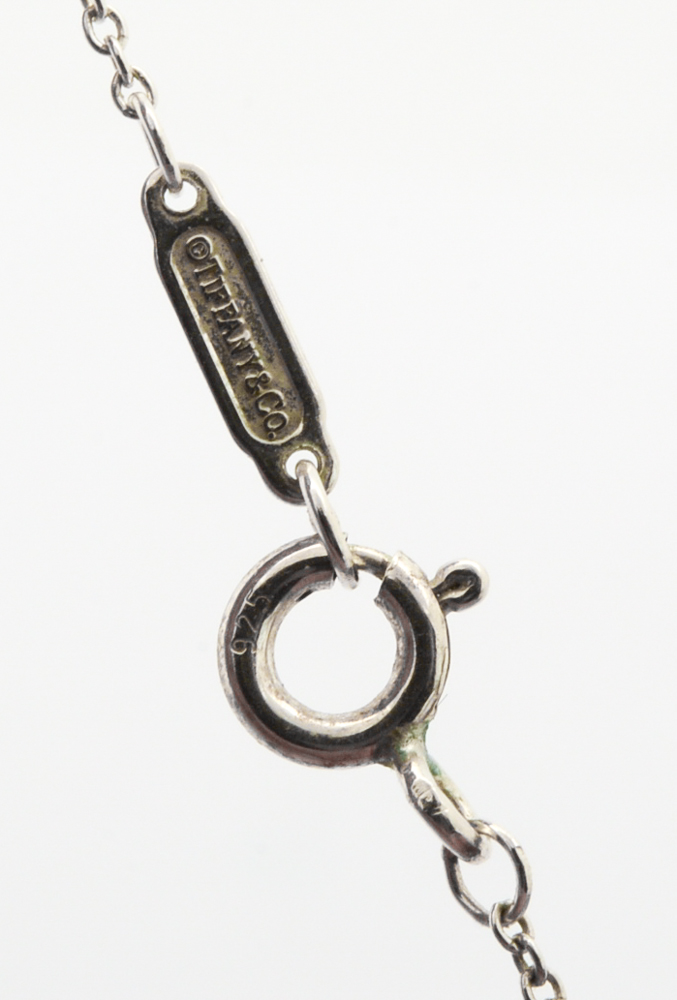 Tiffany & Co. Sterling Silver Enchant Collection Pendant Necklace