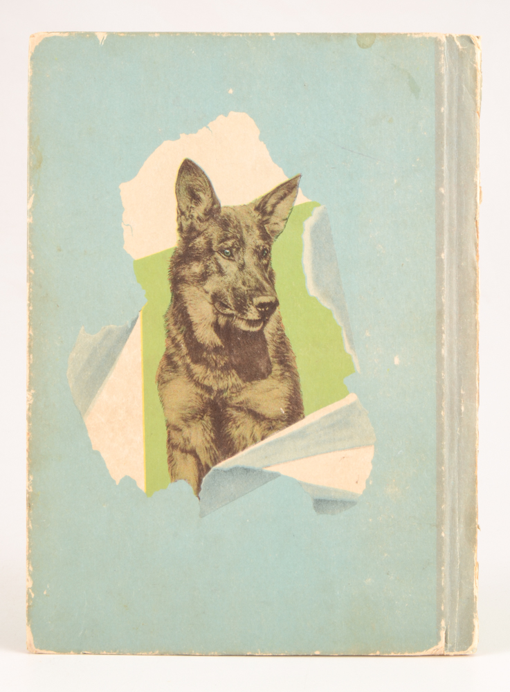 Antique and Vintage Children's Books