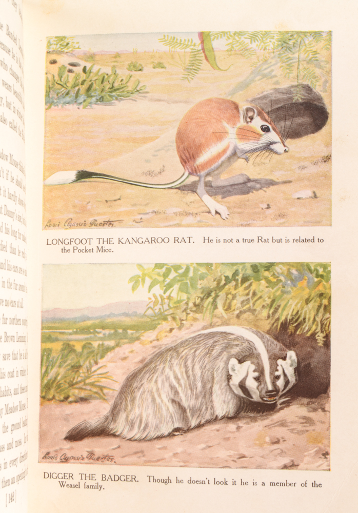 Antique and Vintage Children's Books