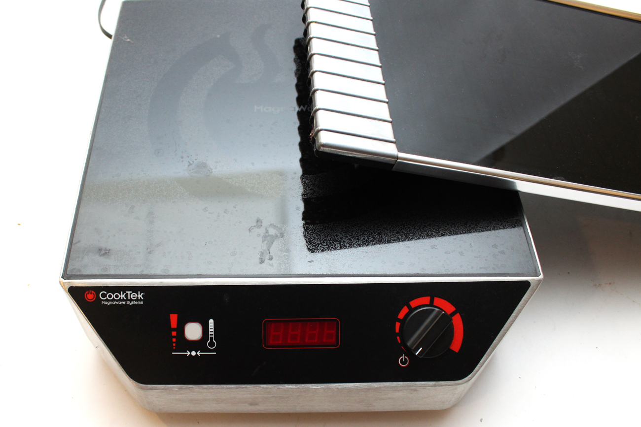 Cooktek Induction Range and Villaware Warming Plate