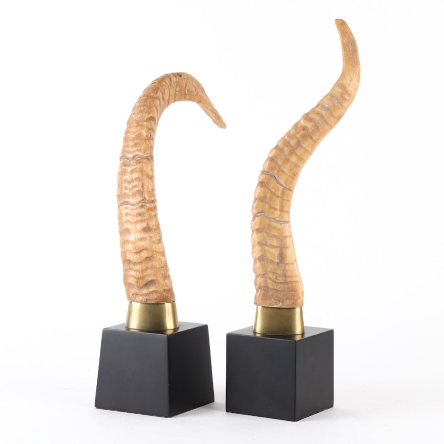 Ornamental Resin Horn Sculptures