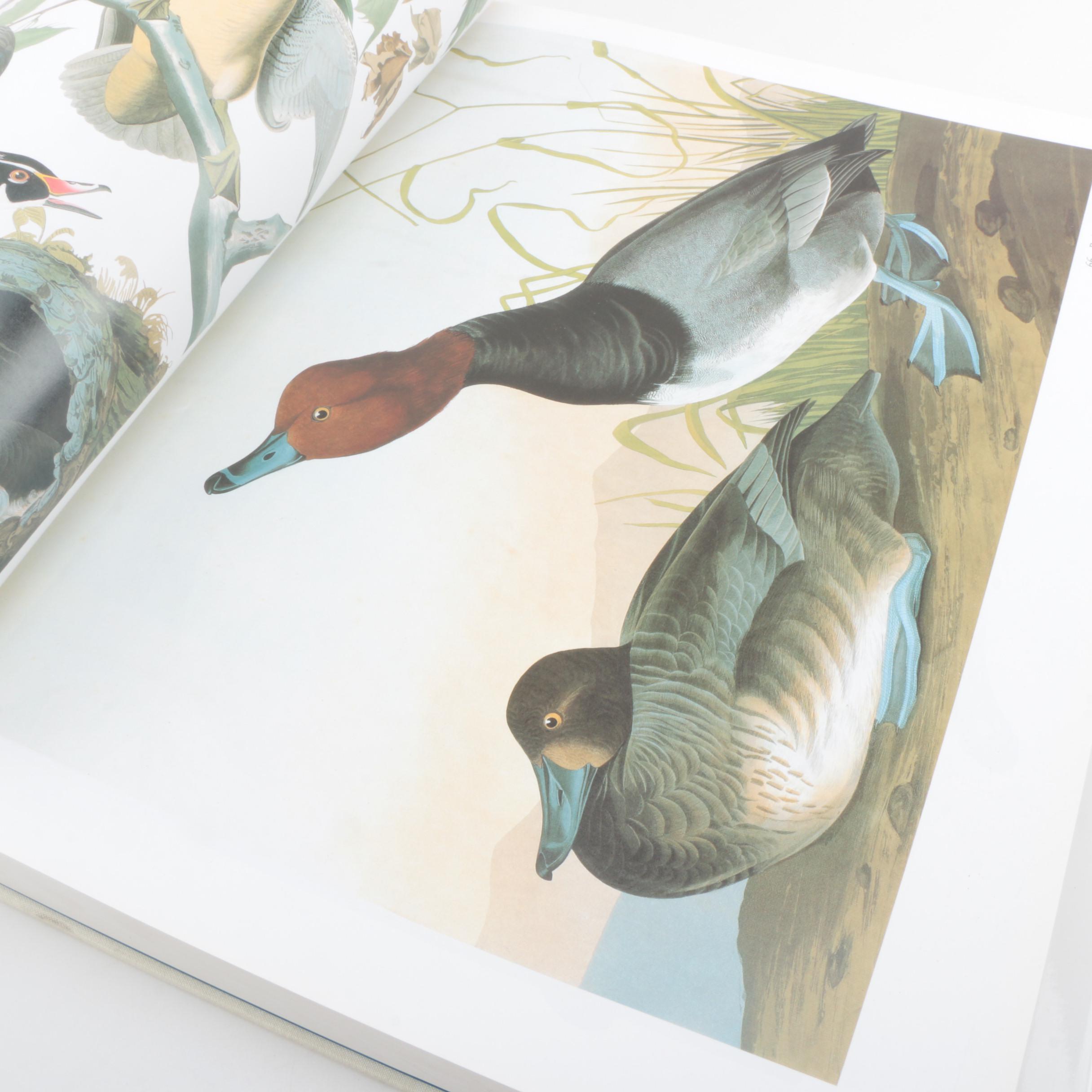 Audubon's "Birds of America" Audubon Society Baby Elephant Folio Edition