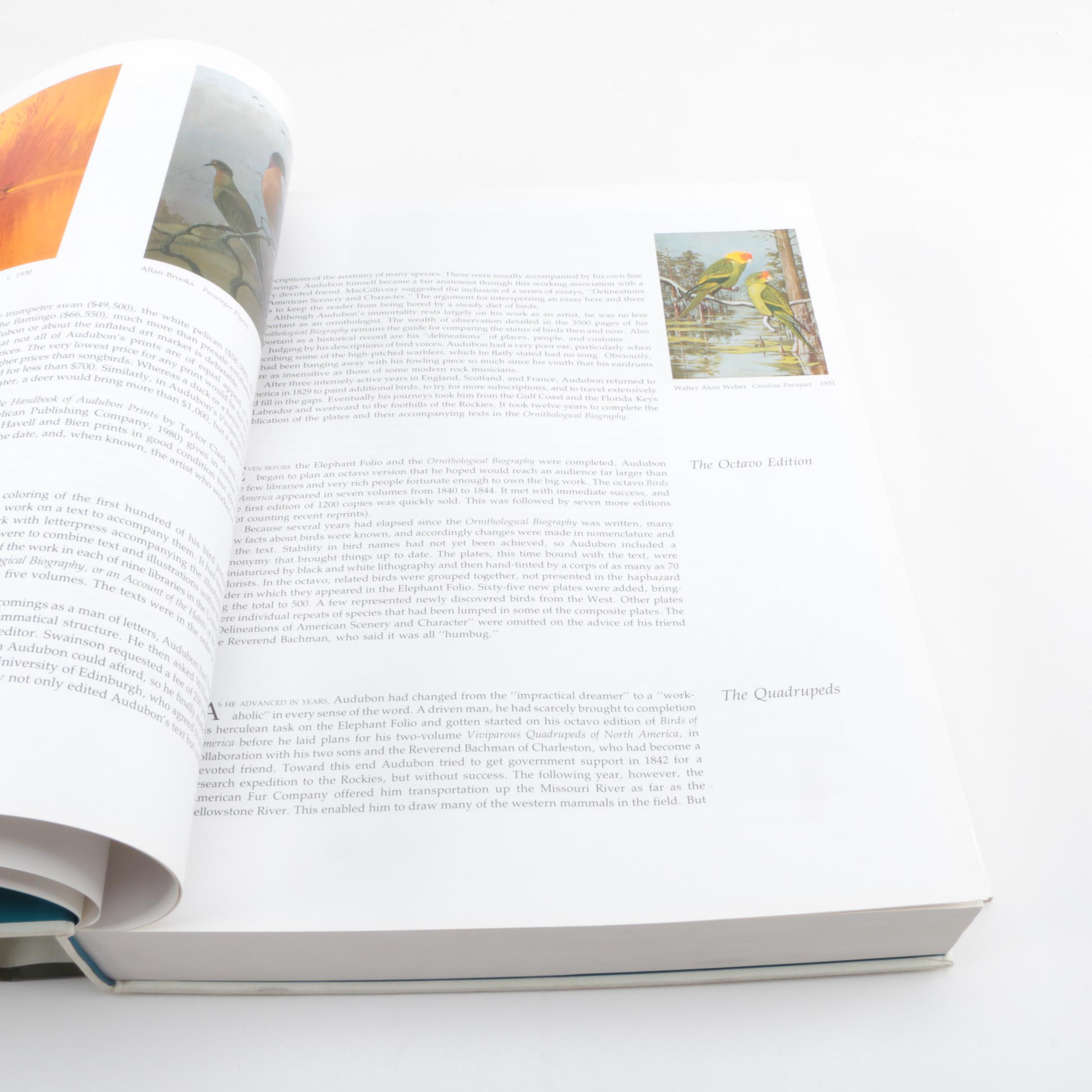 Audubon's "Birds of America" Audubon Society Baby Elephant Folio Edition