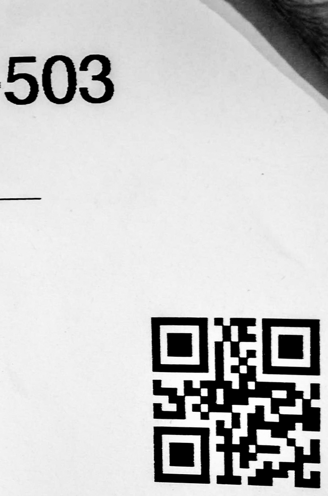 Pair of Eames Style Arm Chairs