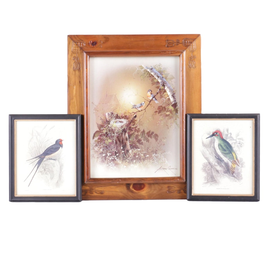 Offset Lithographs of Birds After Andres Orpinas and Sir William Jardine