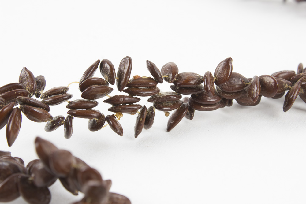 Assorted Tourquoise and Costume Jewelry