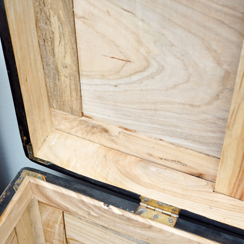 Asian Carved Camphor Trunk