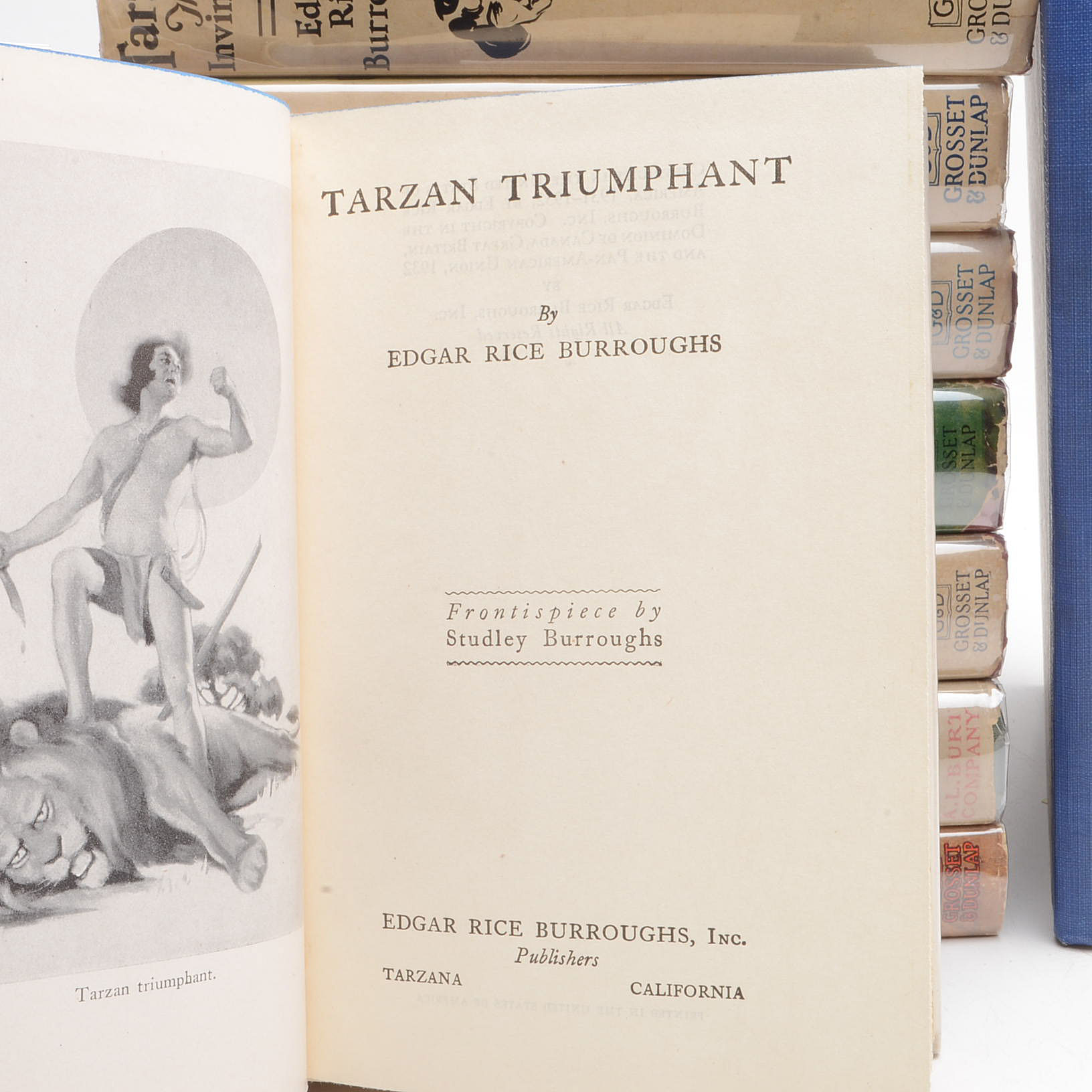 Group of Edgar Rice Burroughs Tarzan Novels
