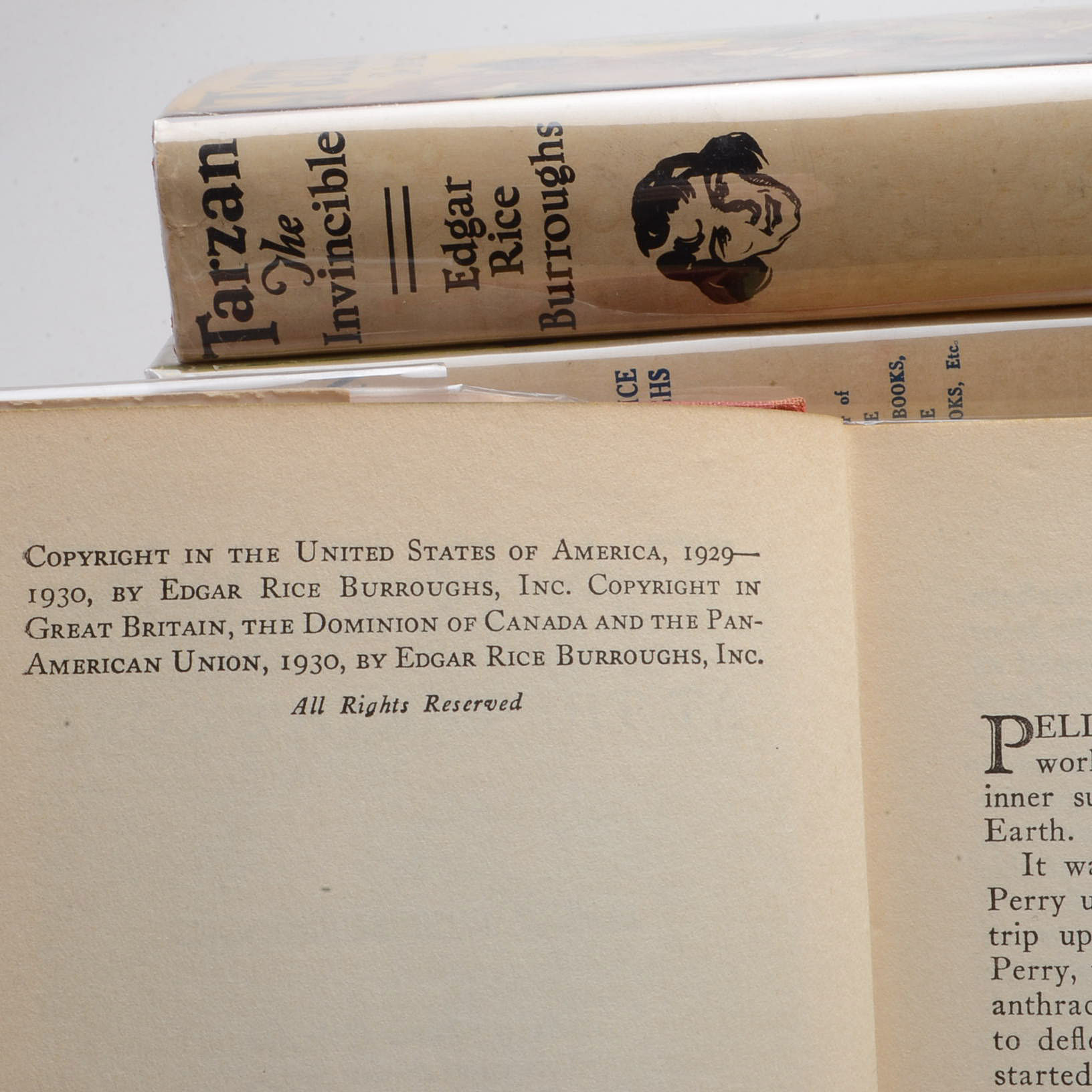 Group of Edgar Rice Burroughs Tarzan Novels