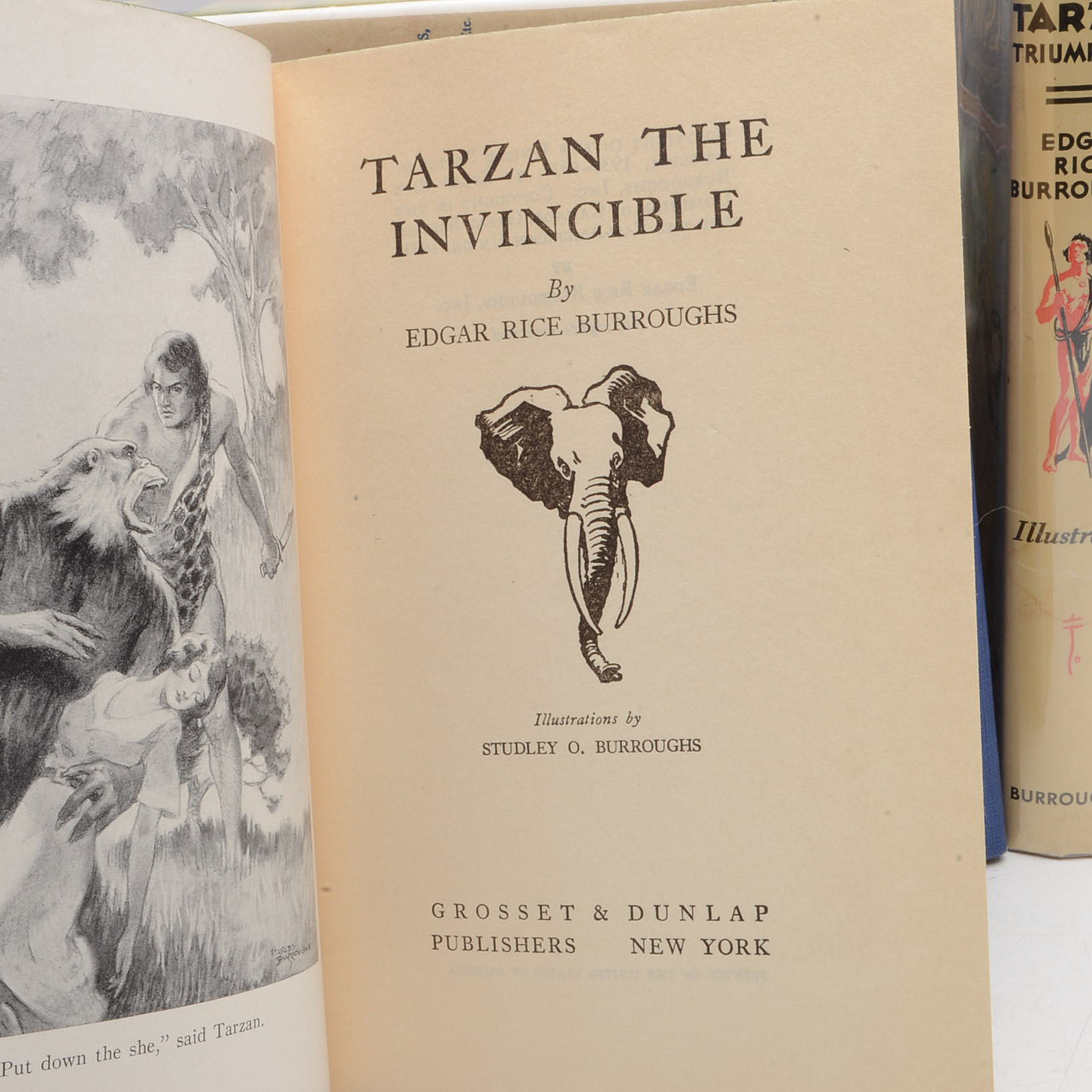 Group of Edgar Rice Burroughs Tarzan Novels